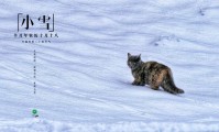 「峨眉山地震了吗」当“小雪”遭遇大雪时，峨眉山这一次是认真的！