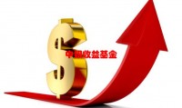 中银收益基金，银河银泰和中银收益混合这两只基金怎么样？