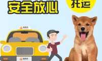 界首市宠物托运（11月28日更新）