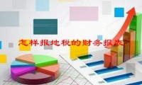 怎样报地税的财务报表，地税报表怎样填写？